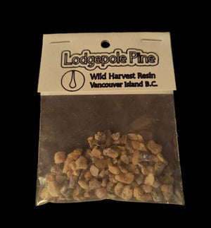 Resin Incense - Lodgepole Pine - Size #3
